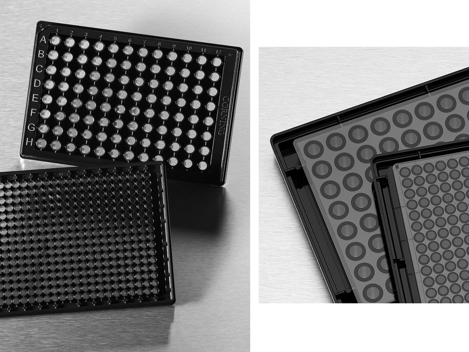 Corning® 96-well Half Area High Content Imaging Film Bottom Microplate ...