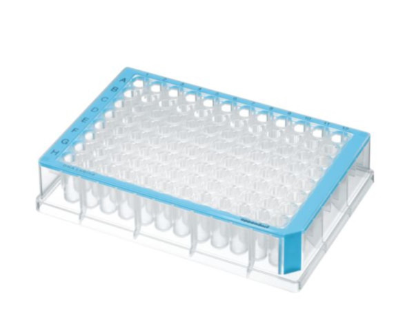 Eppendorf Deepwell Plate 96/500 µL, DNA LoBind, 500 µL, PCR clean, blue, 40 plates