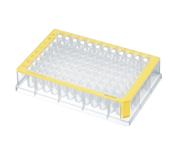 Eppendorf Deepwell Plate 96/500 µL, Protein LoBind, 500 µL, PCR clean, yellow, 40 plates